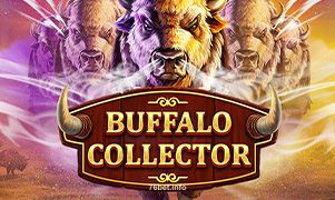 Imagem do jogo Buffalo Collector disponível no 76bet